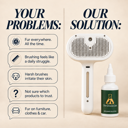 Steam Brush™ cool mist cat grooming brush