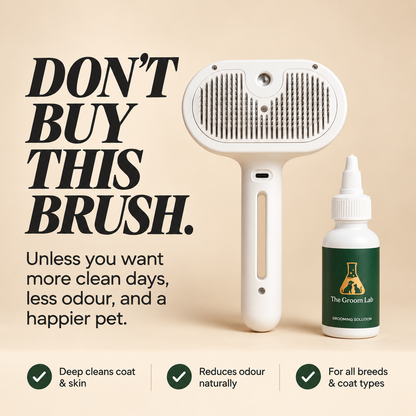 USB-C rechargeable Steam Brush™ pet grooming brush