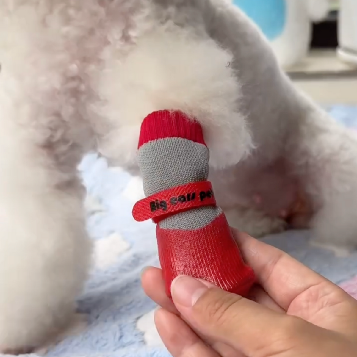 Waterproof red dog boots, photo 2