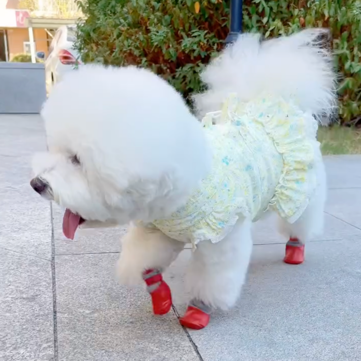 Waterproof red dog boots, photo 8