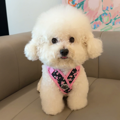 Printed X-style dog harness for small dogs, photo 8