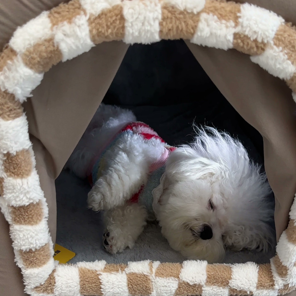 Checkered covered dog house bed, photo 4