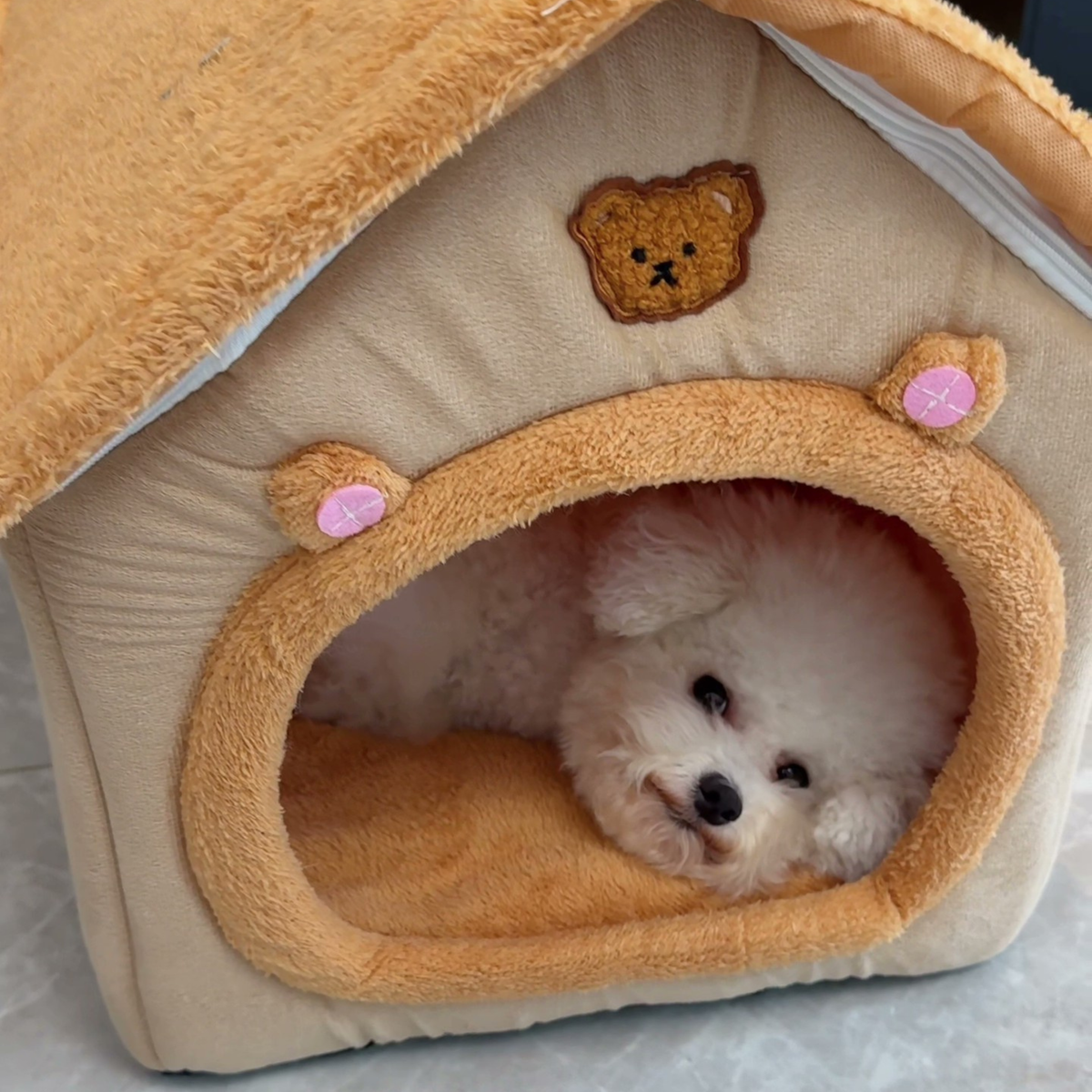 Cabin-style covered dog bed with roof, photo 10