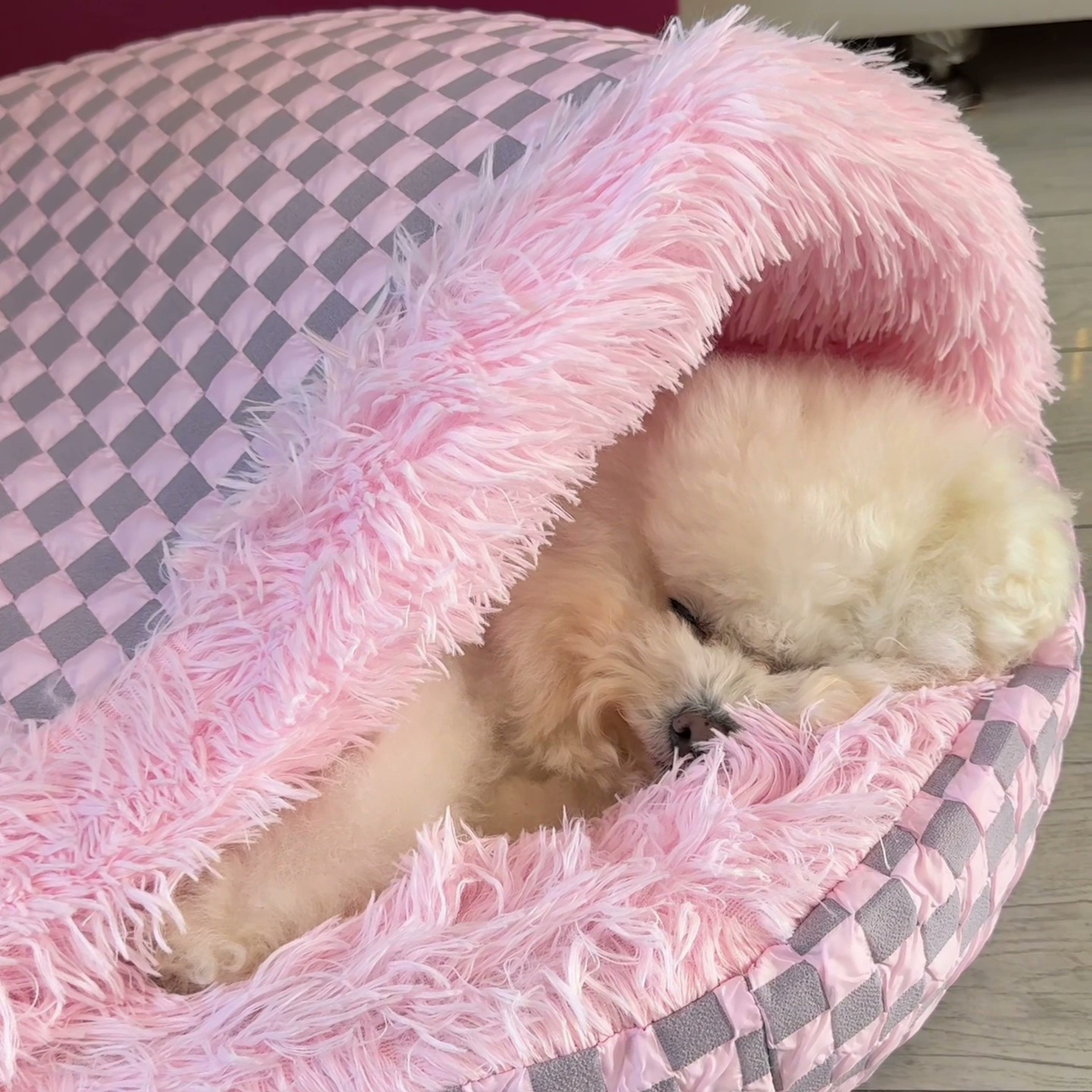 Round hooded cave dog bed, photo 6