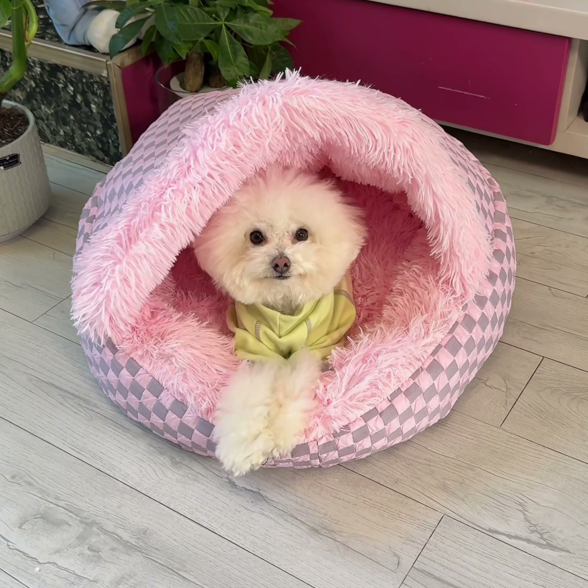 Round hooded cave dog bed, photo 7