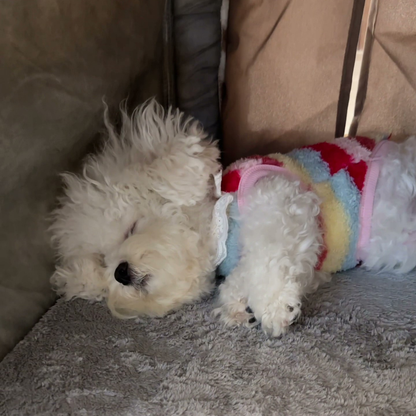Checkered covered dog house bed, photo 5