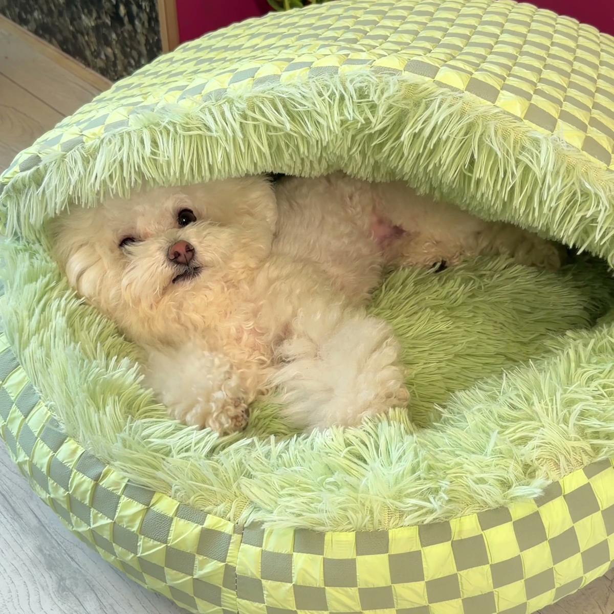 Round hooded cave dog bed, photo 5