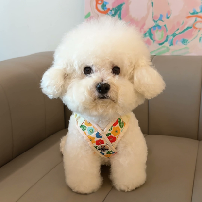 Printed X-style dog harness for small dogs, photo 5