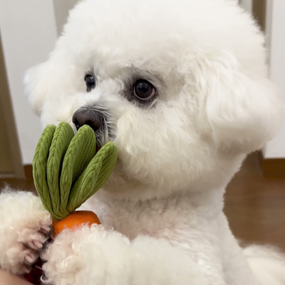 Squeaky carrot dog toy, photo 5