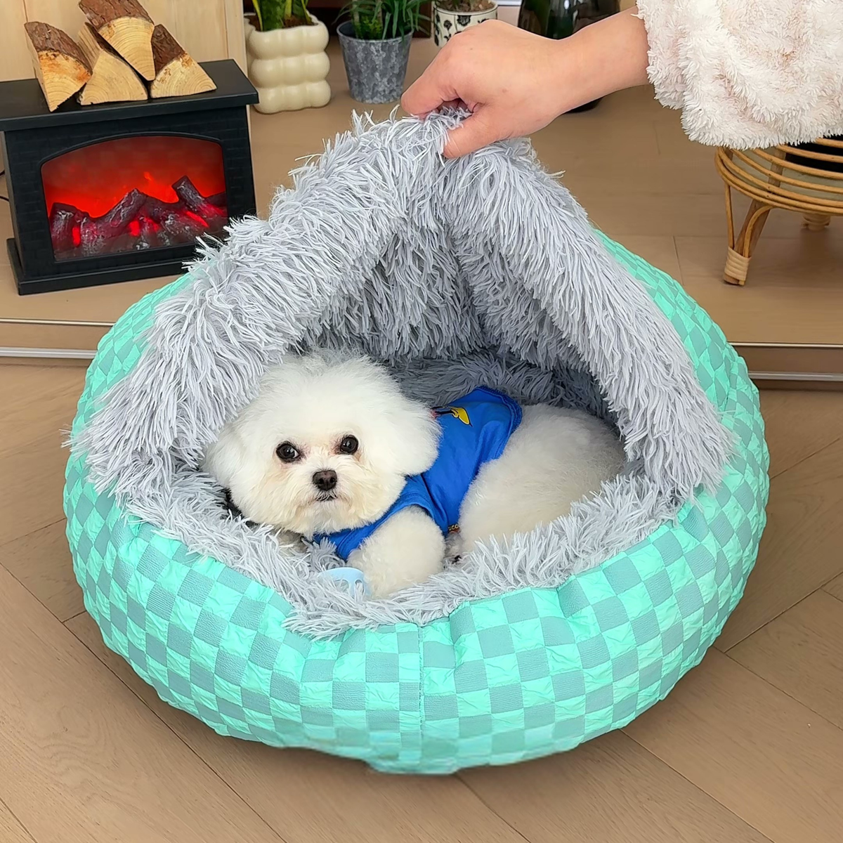 Round hooded cave dog bed, photo 2