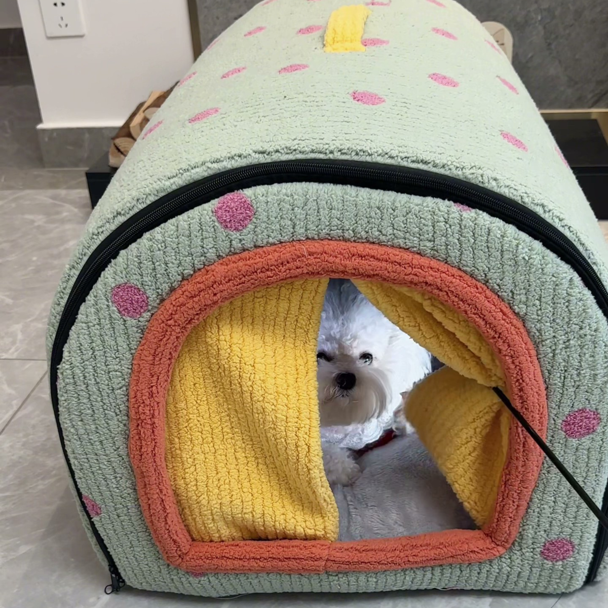 Arched dog house bed with removable cushion, photo 3