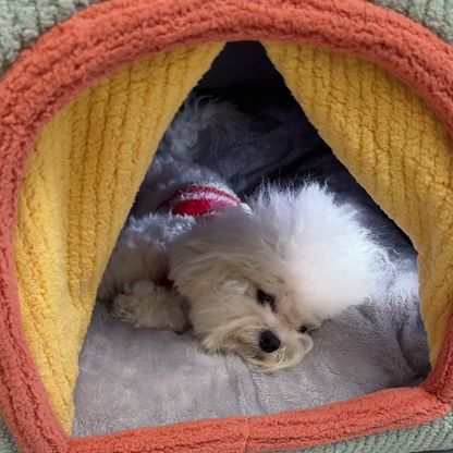 Arched dog house bed with removable cushion, photo 5