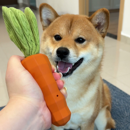 Squeaky carrot dog toy, photo 8