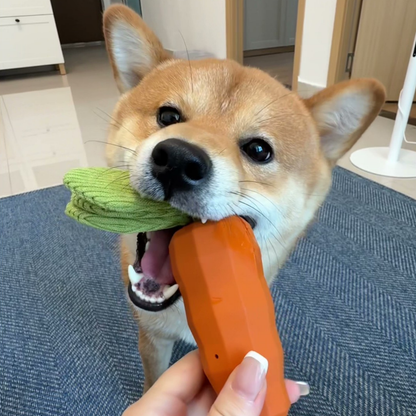 Squeaky carrot dog toy