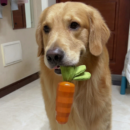 Squeaky carrot dog toy, photo 3