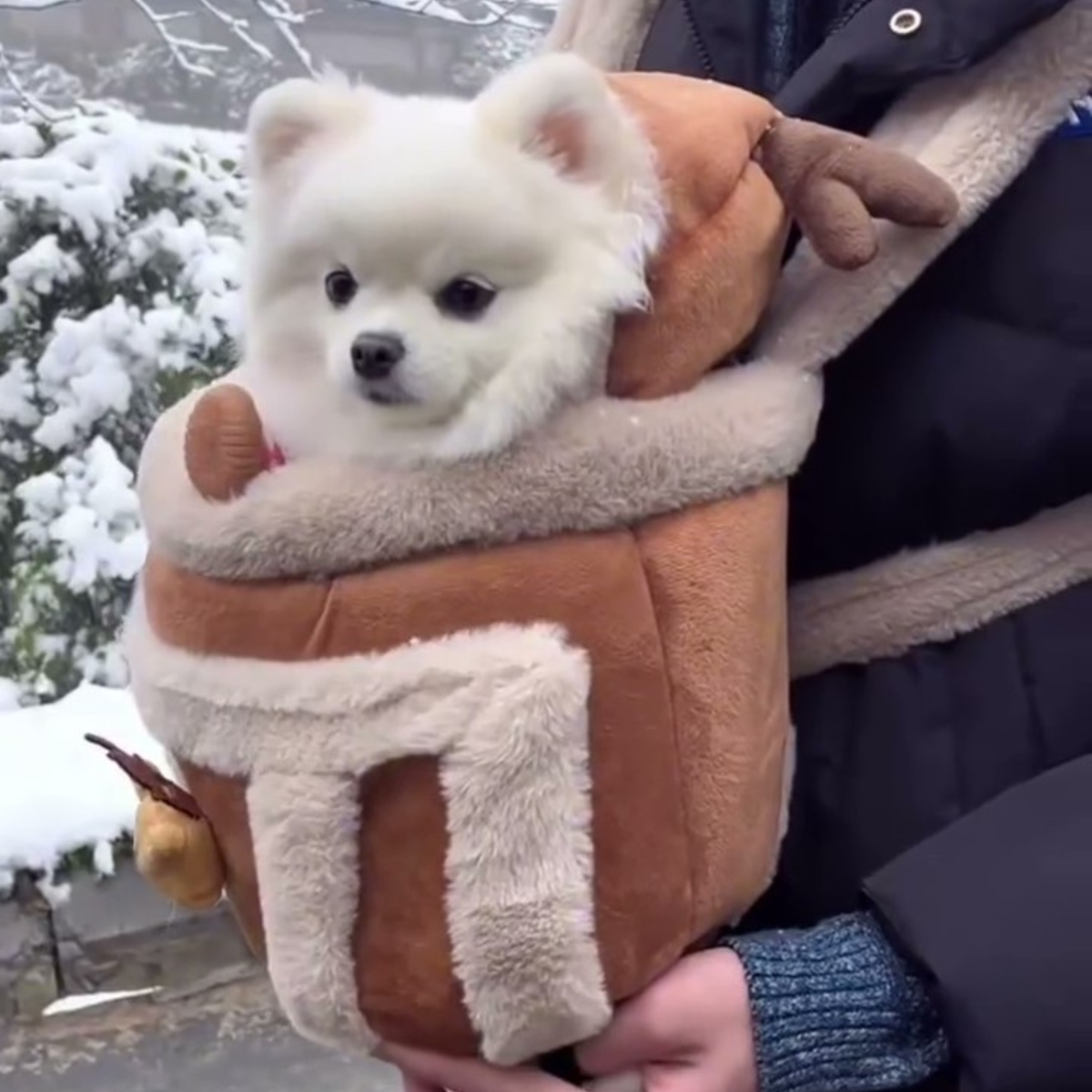 Reindeer plush dog carrier bag, photo 3