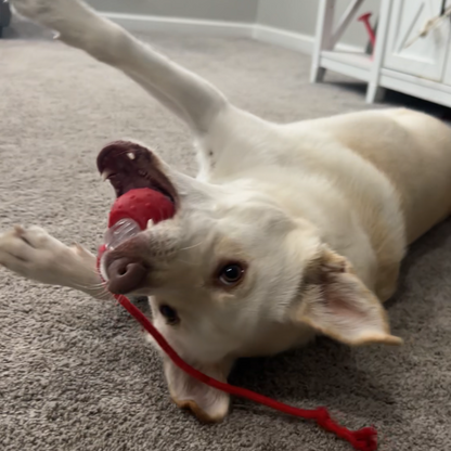 Self-rolling dog ball with rope tail, photo 3