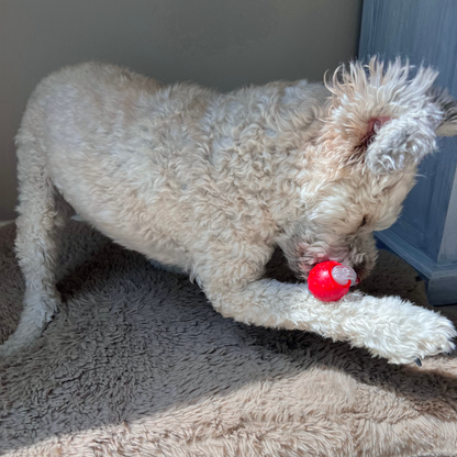 Self-rolling dog ball with rope tail, photo 5