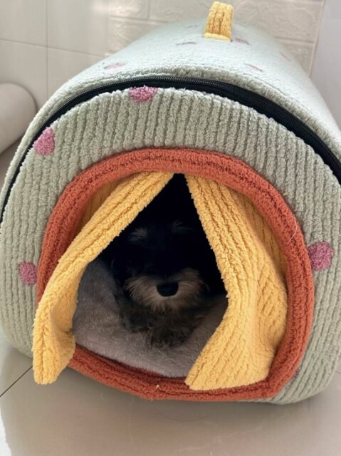 Photo accompanying Linda Peterson's external product review