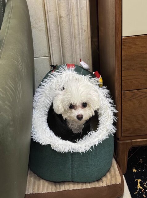 Photo accompanying Robyn Eagle's external product review