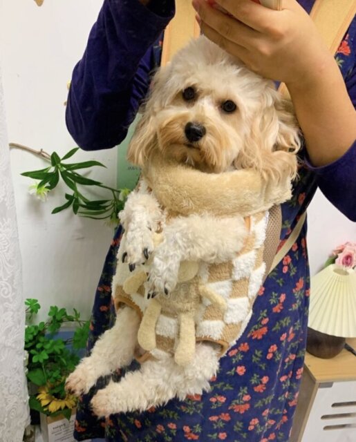 Photo accompanying Nicole Martinez's external product review