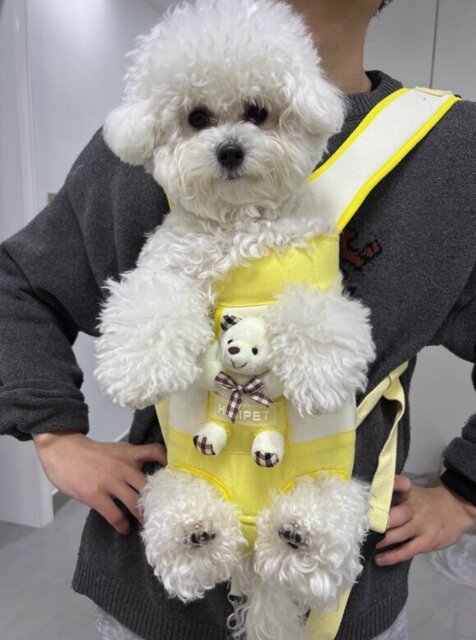 Photo accompanying Nancy Lewis's external product review