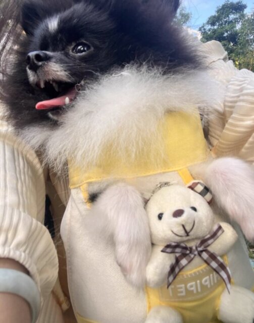 Photo accompanying Cynthia Adams's external product review