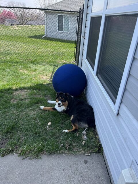 Photo accompanying Karen Mitchell's external product review
