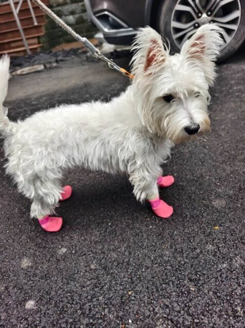 Photo accompanying Rebecca Scott's external product review