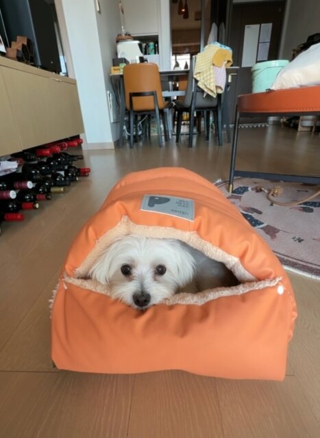 Photo accompanying Karen Davis's external product review