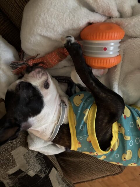 Photo accompanying Cheryl Bennett's external product review
