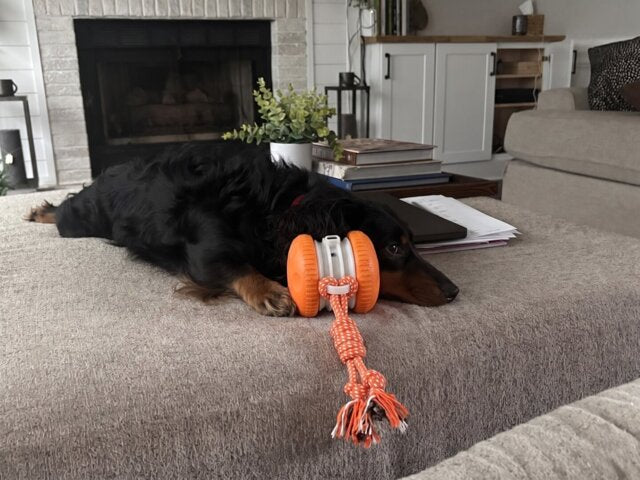 Photo accompanying Teresa Morgan's external product review