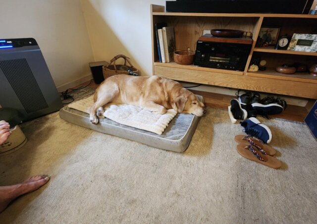 Photo accompanying Susan Hall's external product review