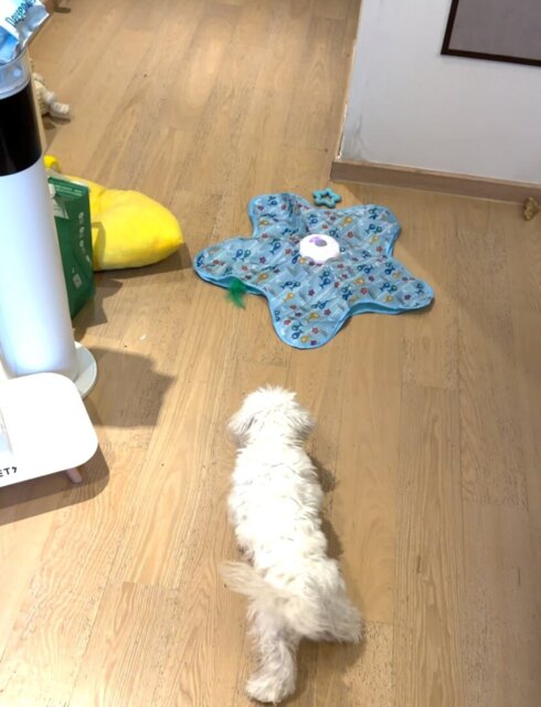 Photo accompanying Cynthia Hayes's external product review