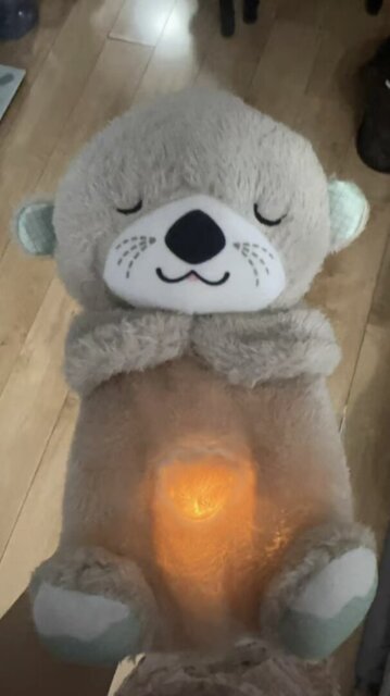 Product review photo — heartbeat plush otter for puppies