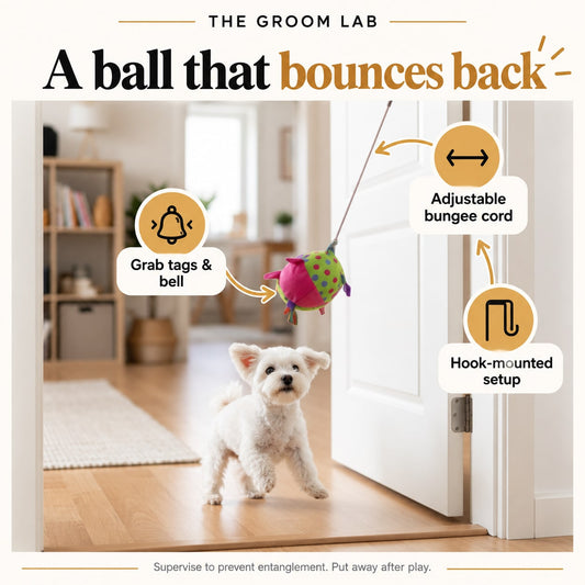 The Groom Lab — Hanging Bungee Ball Dog Toy with Bell, No-Drill Wall or Ceiling Mount — product features and use guidance