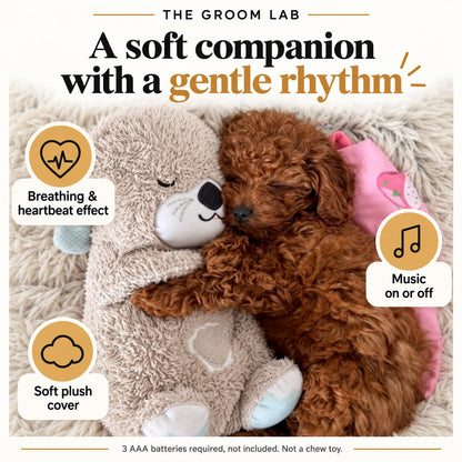 The Groom Lab — Heartbeat Plush Otter for Puppies, Breathing Motion and Soothing Sounds — product features and use guidance