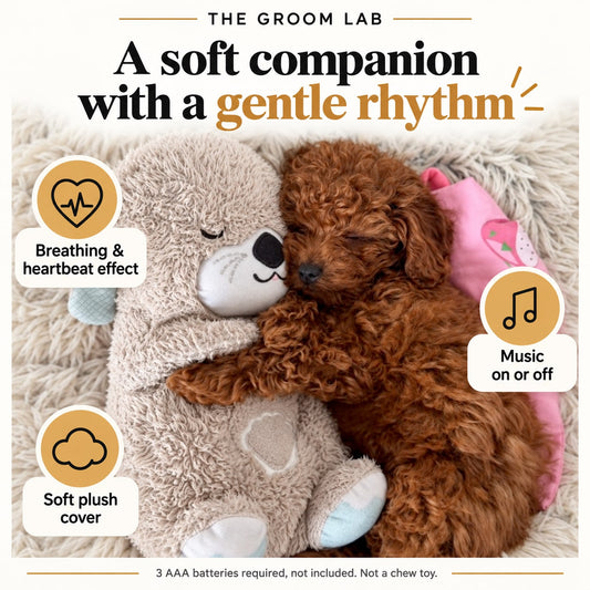 The Groom Lab — Heartbeat Plush Otter for Puppies, Breathing Motion and Soothing Sounds — product features and use guidance