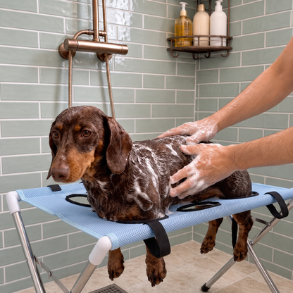 Dog bath hammock standing in a bathtub, blue