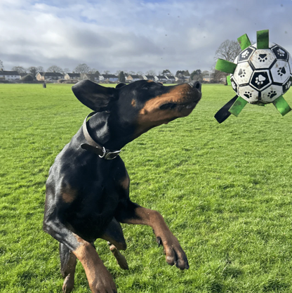 Soccer ball dog toy with nylon grab straps