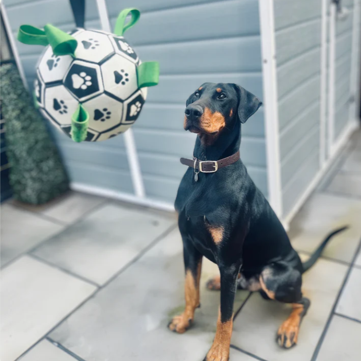 Soccer ball dog toy with nylon grab straps, photo 3