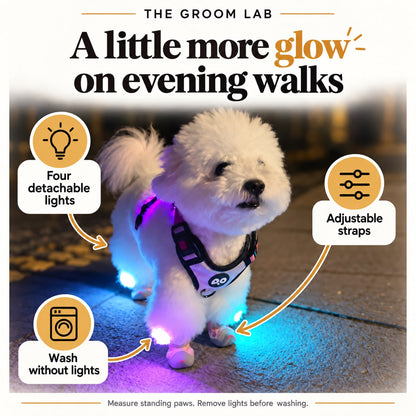 The Groom Lab — LED Light-Up Dog Shoes, Set of 4 with Velcro Straps and Clip-On Lights — product features and use guidance