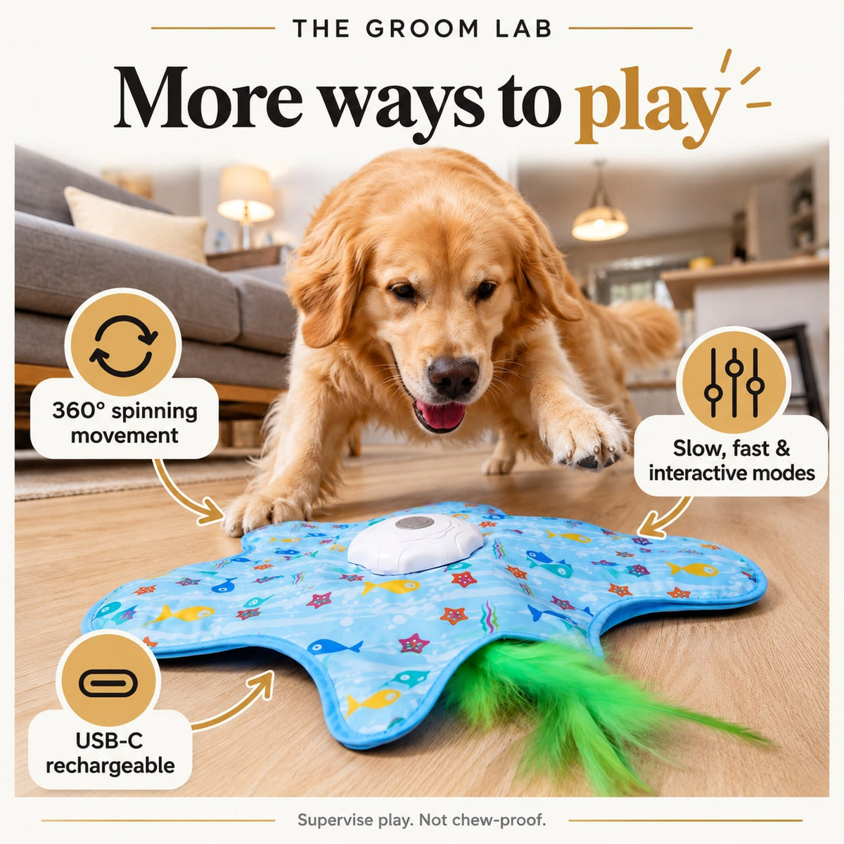 The Groom Lab — Interactive Spinning Star Dog Toy, USB-C Rechargeable with 3 Speed Modes — product features and use guidance
