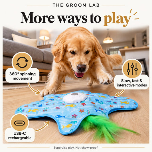 The Groom Lab — Interactive Spinning Star Dog Toy, USB-C Rechargeable with 3 Speed Modes — product features and use guidance