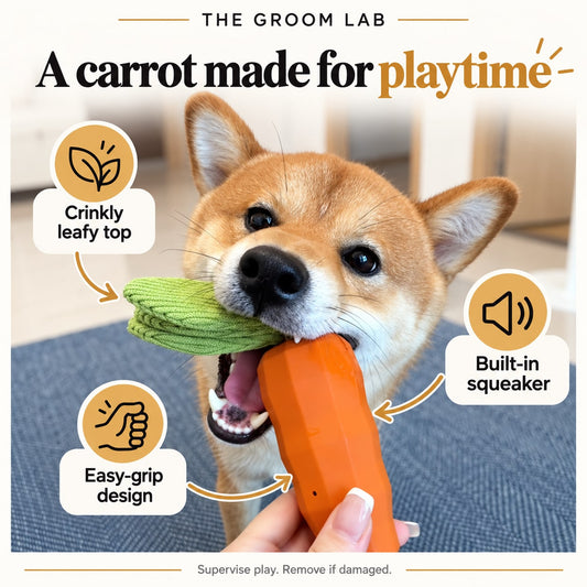 The Groom Lab — Squeaky Carrot Dog Toy with Crinkle Leaves, for Tug and Fetch — product features and use guidance